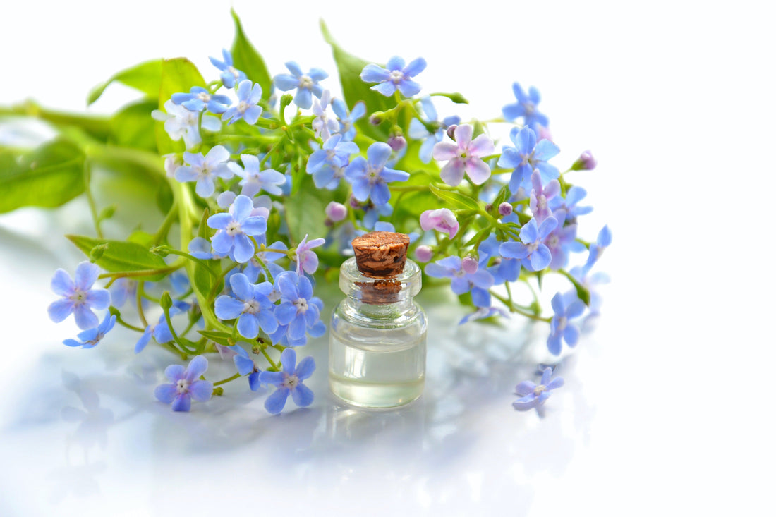 Unveiling Tranquility: SniffUp's Aromatherapy Journey to Holistic Wellness - SniffUp
